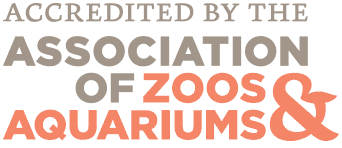 Accredited By the Association of Zoo and Aquariums
